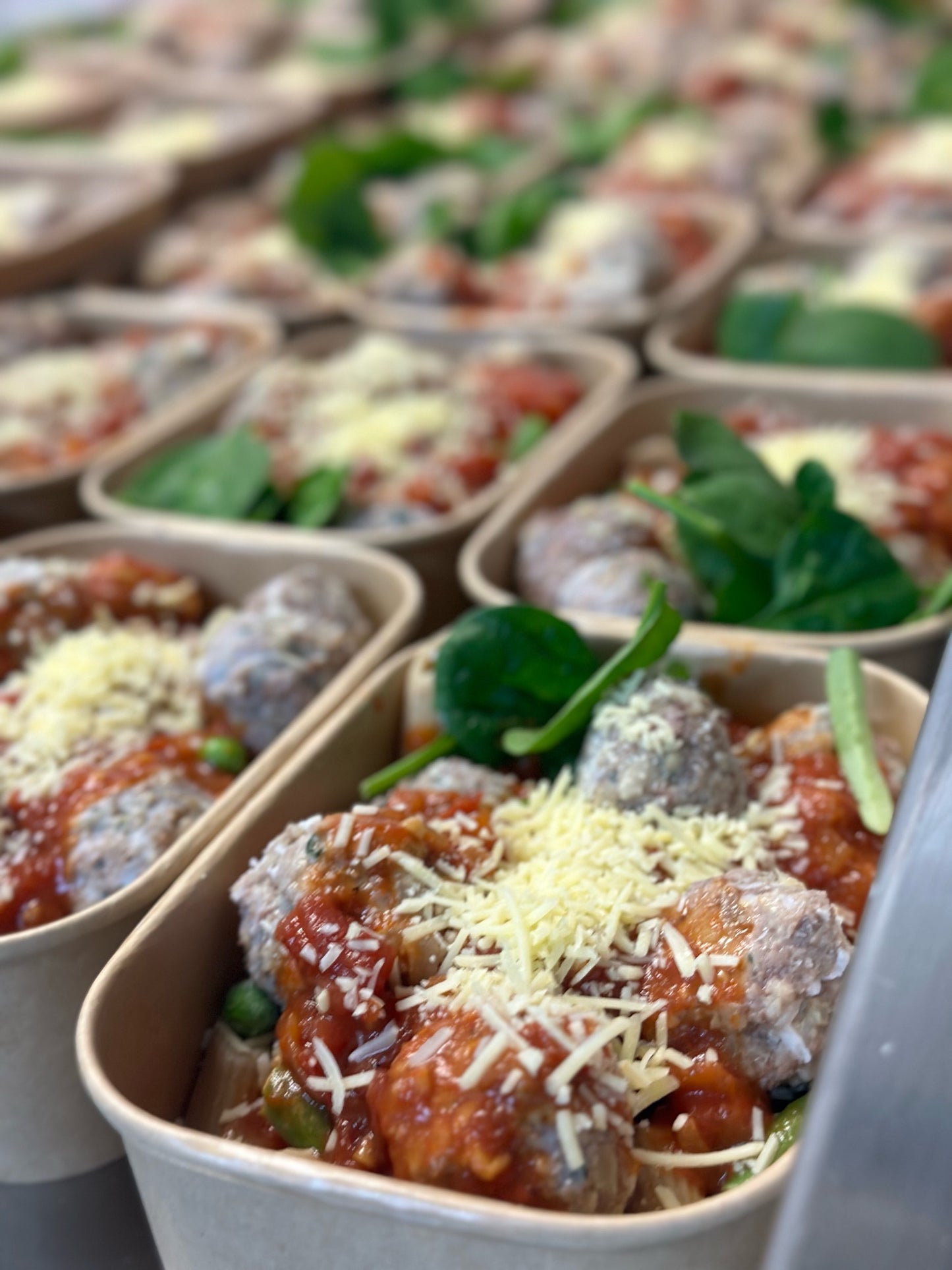 Shred Lamb Meatballs with Pasta